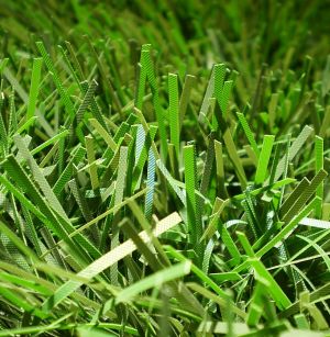 v�no�n� stromek na v�noce